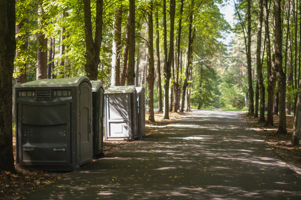 Best Porta potty rental for parties  in Shepherd, MI